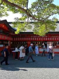 京都著名景點千本鳥居  竟是免費的