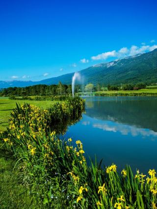 🏔️ Geneve's Hidden Gem: Jiva Hill Resort 🌟