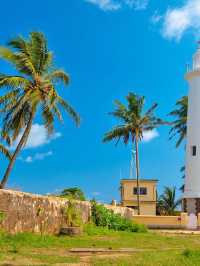 🌴🏖️ Unwind at Sri Lanka's Beachfront Bliss 🌞🍹