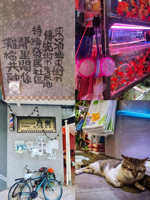 重現九龍城寨,我好像走進了電影片場 重現九龍城寨,我好像走進了電影片場