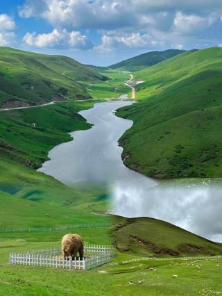 Yunnan's natural grasslands