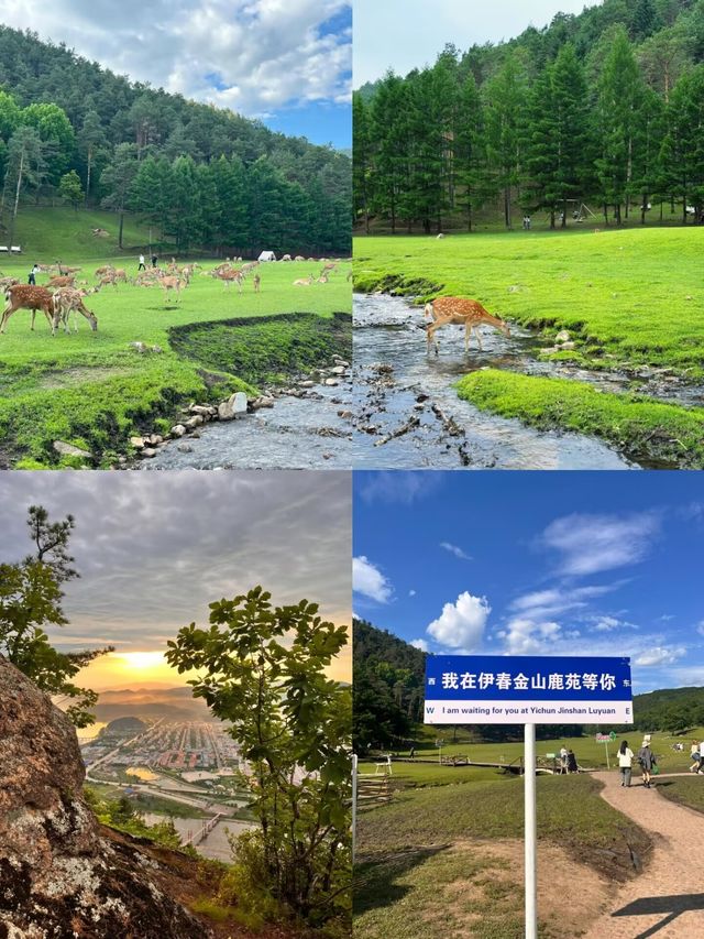 暑假旅遊推薦，清涼避暑又充滿樂趣！