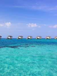 🌴 Maldives Magic: Unbeatable Hotel Deals! 🏖️✨