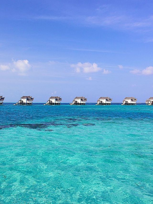 🌴 Maldives Magic: Unbeatable Hotel Deals! 🏖️✨