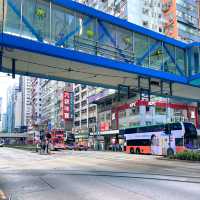 建議收藏！極致性價比高的香港本地游攻略！