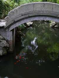 雨後漫步，夏日古典園林景觀大賞