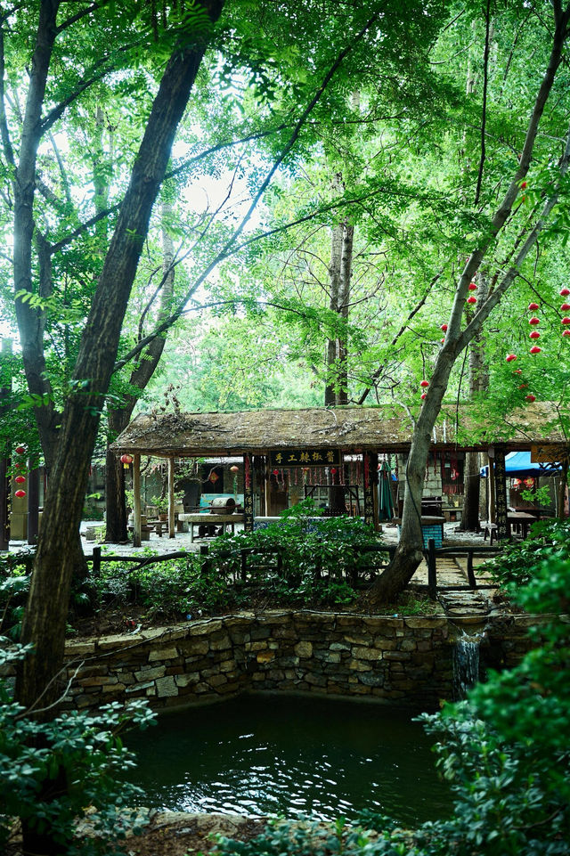 周末去哪玩|臨沂打卡地蘭陵壓油溝