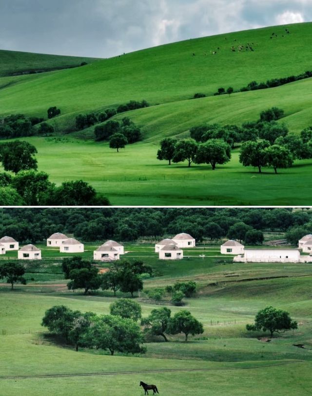 住進科爾沁草原深處綠色片地自然野宿