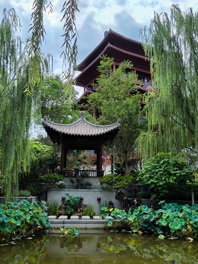 預測下一個頂流打卡地，成都世界園藝博覽會!