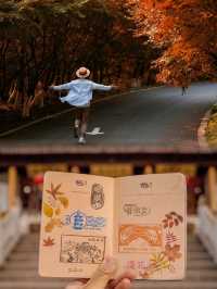 南京的棲霞古寺，一座承載著千年歷史的佛教聖地