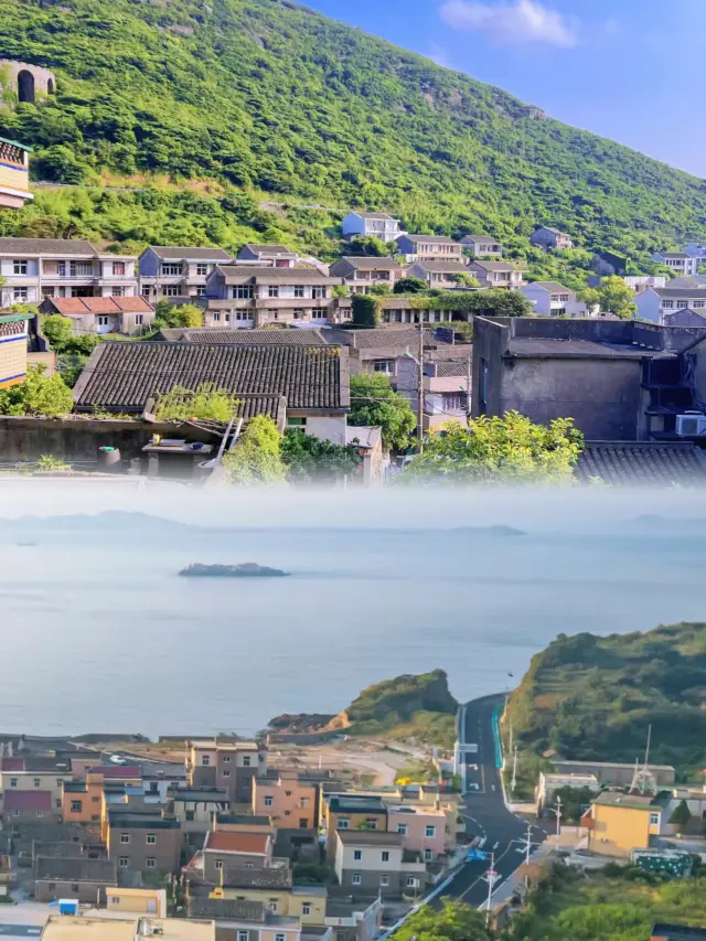 舟山免費趕海實用攻略