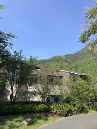 住進群山環抱的竹海，來一場森系療癒