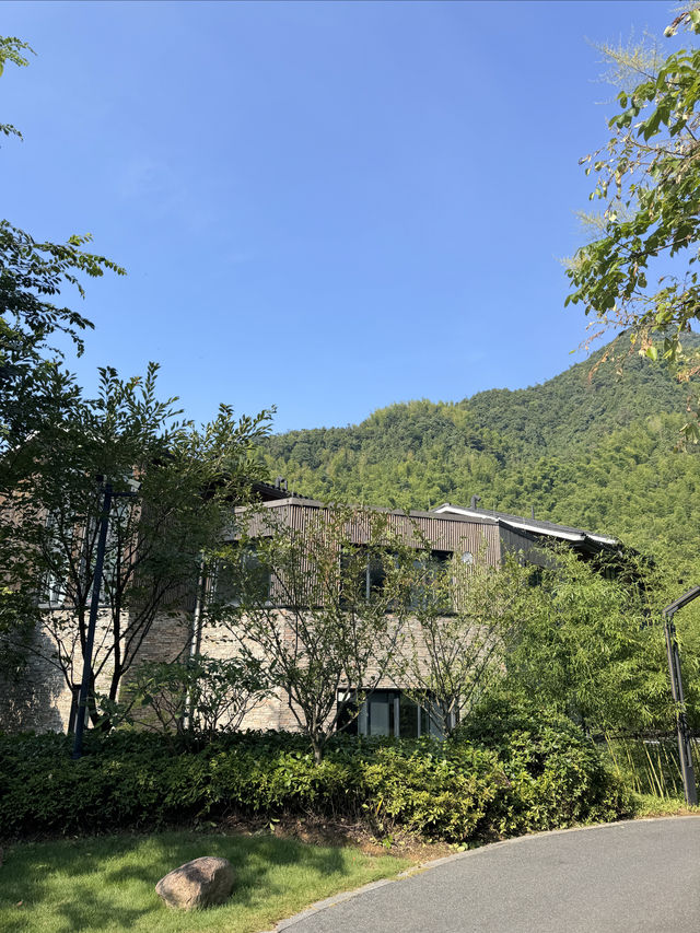 住進群山環抱的竹海，來一場森系療癒
