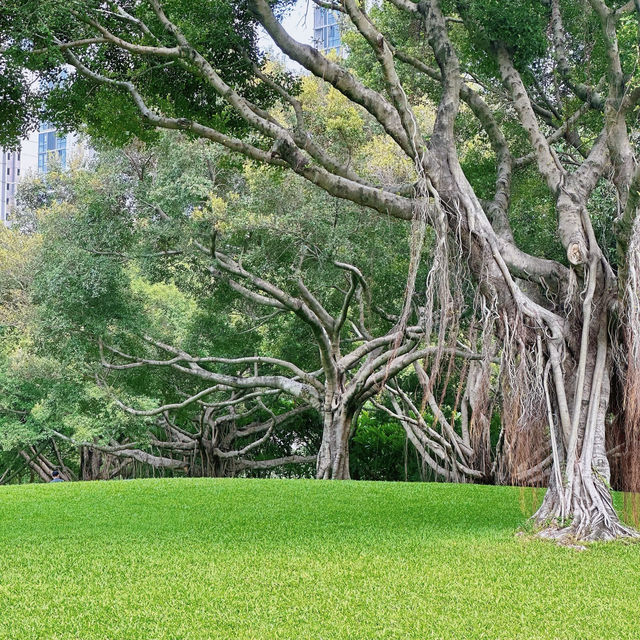 廈門市內好去處|在南湖公園遛彎