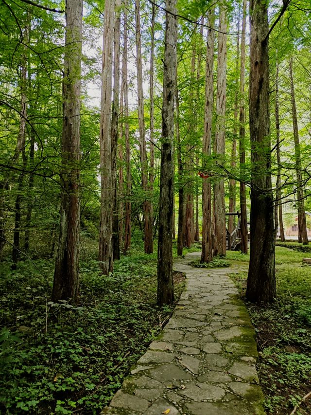 黎坪美景