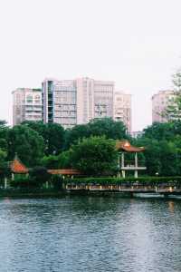 深圳龍潭公園，是繁華都市裡的一枚發光的綠寶石！