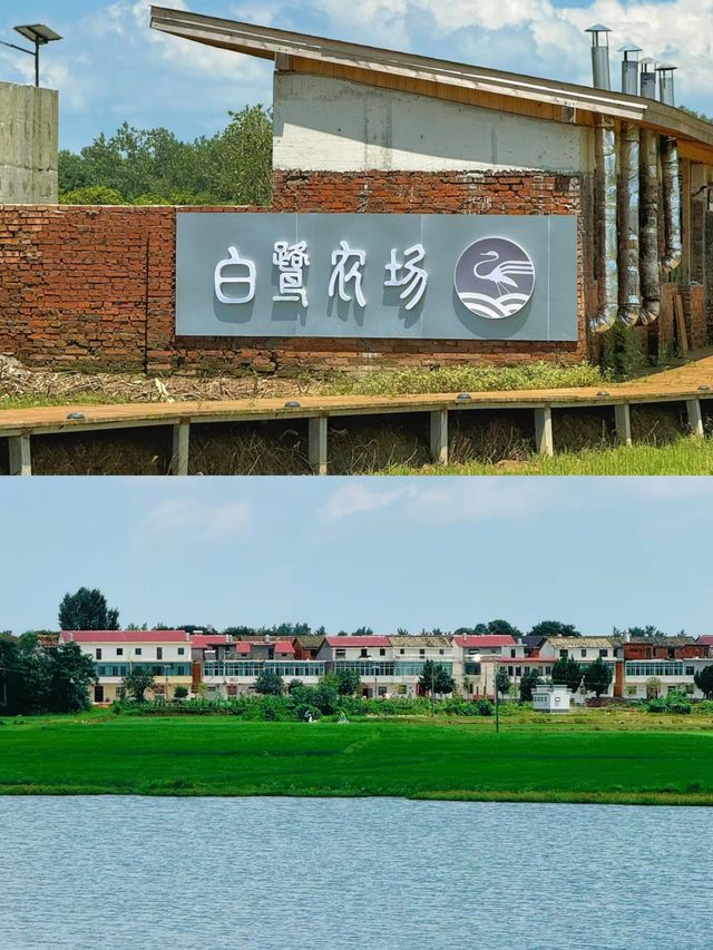 南昌版!《雲邊有個小賣部》!