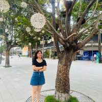 Dutch Flower Town in Shenzhen 💚 Ideal for plant lovers 🪴 