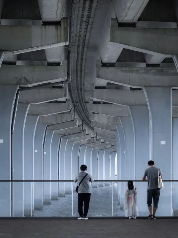 深圳城市建設的魅力❗