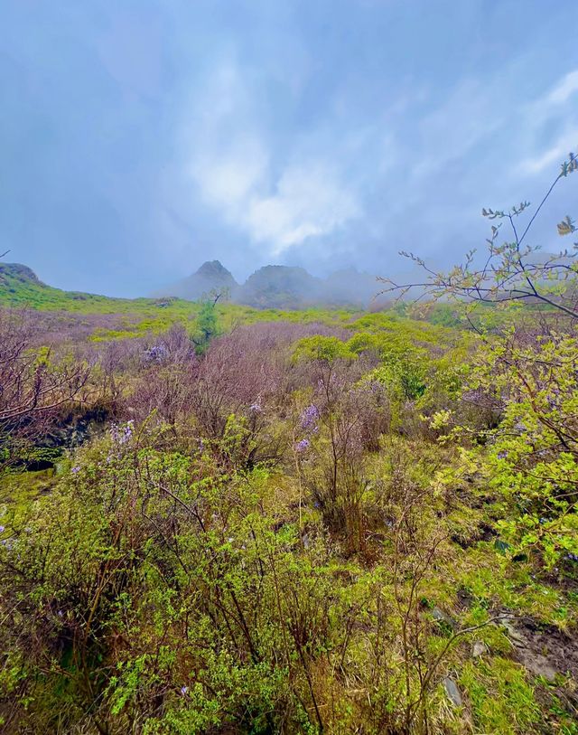 陡峭山壁中的察汗河。