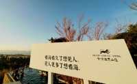 昆明古滇半山溫泉酒店。