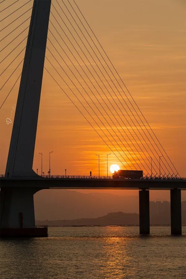 🌅深圳灣公園：一見傾心的美景攻略