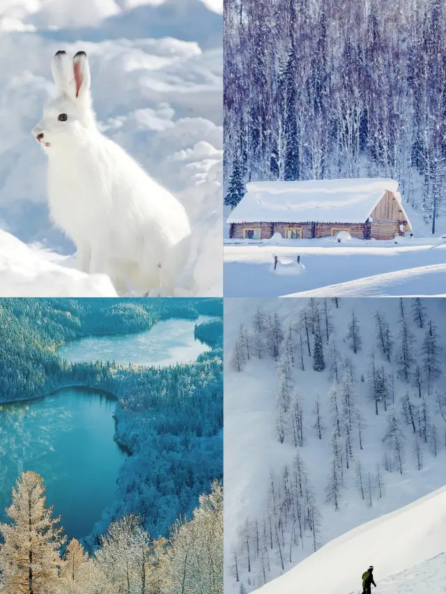 Winter Wonderland | Altay, Xinjiang Skiing Adventure Guide