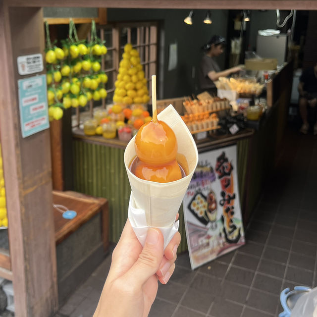 🍁가을여행 교토 여행 필수코스 산넨자카, 니넨자카, 청수사 