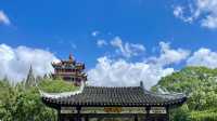 台風「貝碧嘉」過後遊覽川沙公園。