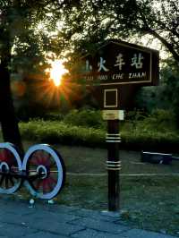 2024.9.15｜絕對不要在下午進入南苑森林濕地公園！