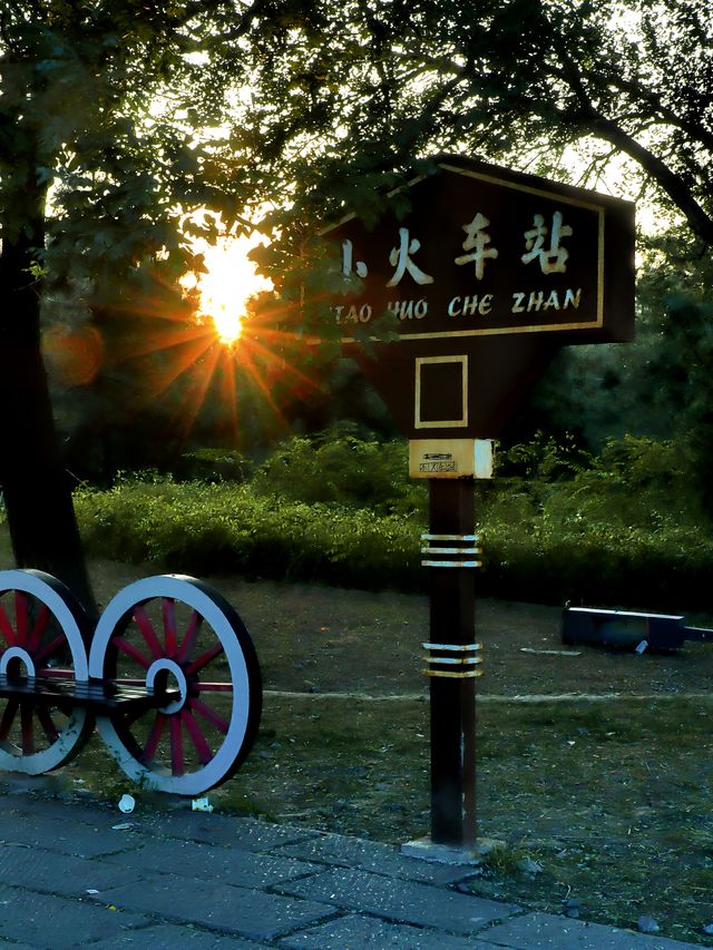 2024.9.15｜絕對不要在下午進入南苑森林濕地公園！