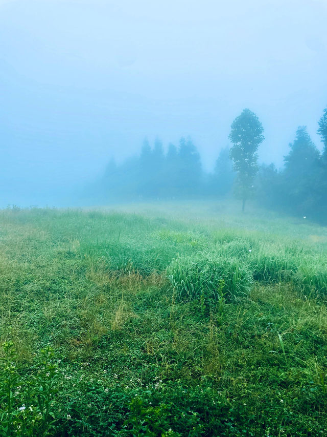 川河蓋｜雲端之上的夢幻之旅你來過嗎？