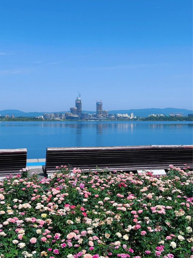 四川成都｜興隆湖，一個像大海的地方。