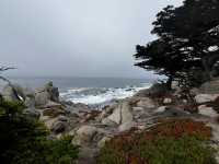 Point Lobos 州保護區。