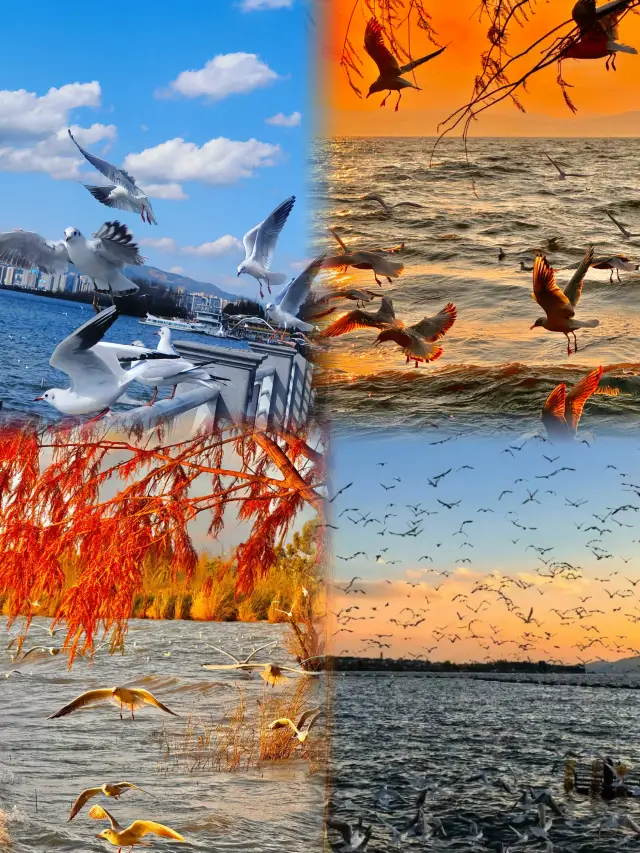 The next Kunming is like a fairy tale world.