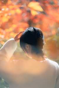 陝西漢中｜不敢想像留壩的秋天如此驚艷。