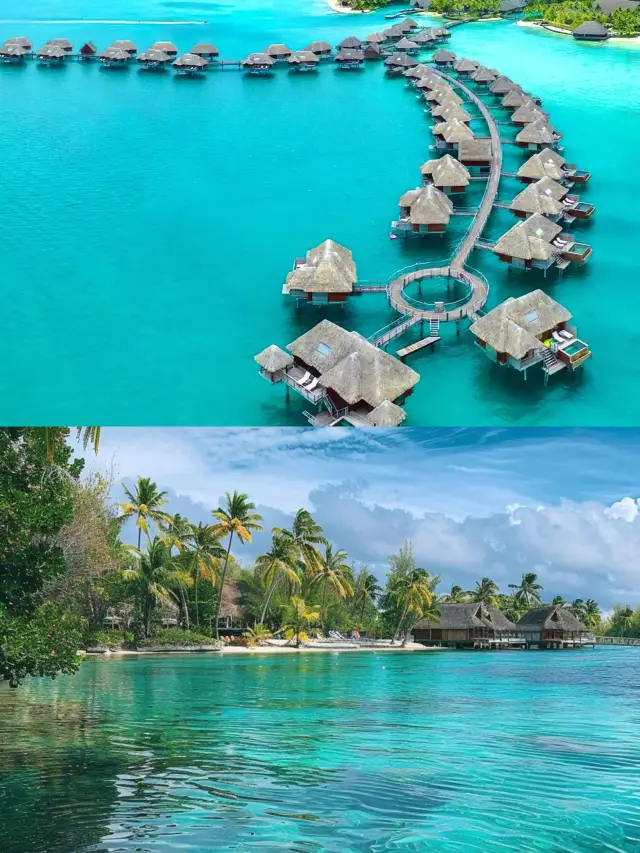 타히티 럭셔리 여행.