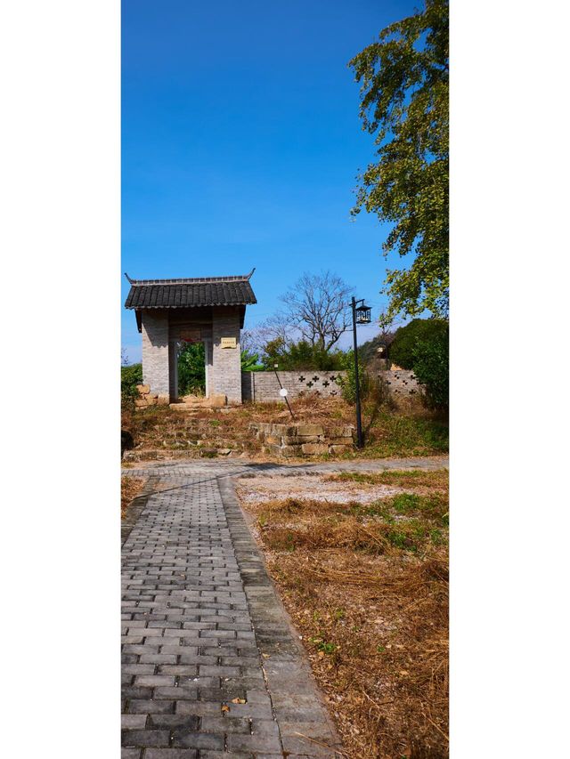 青樟山，坪田旅遊。