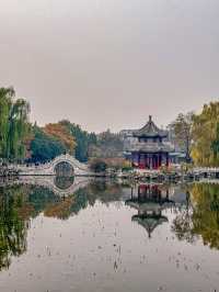 周末到保定｜蓮花書院。