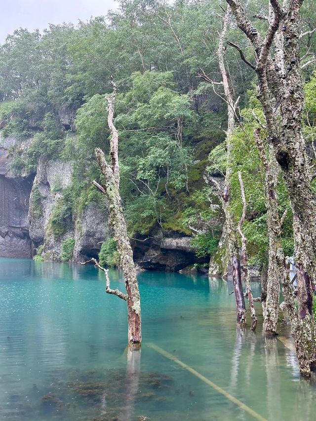 長白山聚龍火山溫泉｜休閒娛樂。