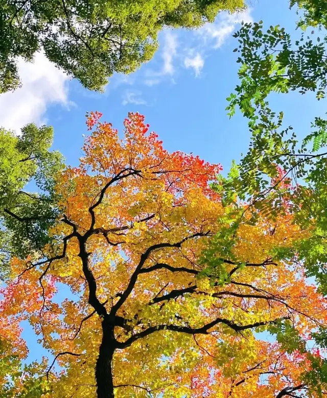 Where to go on the weekend - Tiger Hill Wetland Park. 