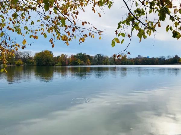 Escape the Hustle and Embrace the Serenity of the World!
