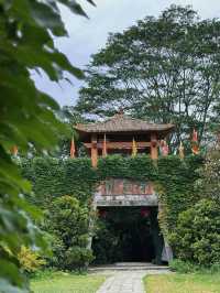 廣東潮州青嵐怪臼谷國家地質公園‖天然的氧吧。