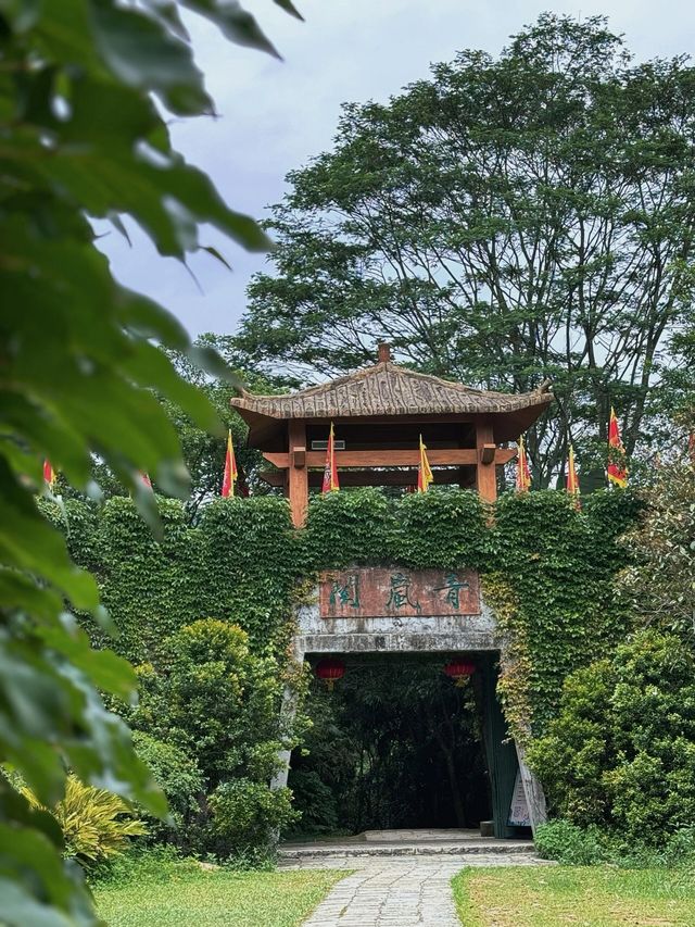廣東潮州青嵐怪臼谷國家地質公園‖天然的氧吧。