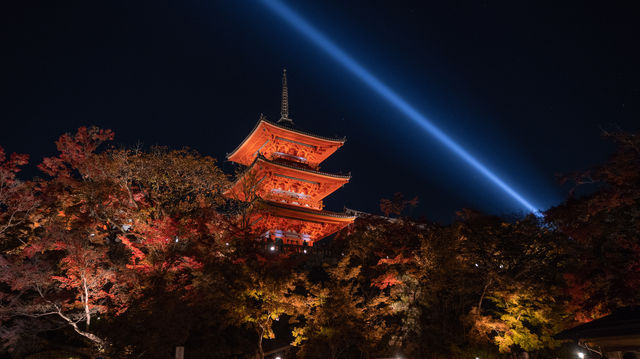 日本京都紅葉季7天攻略。