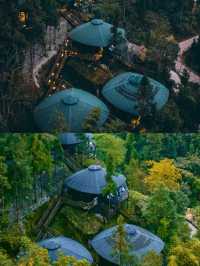 幽靜深山住宿，避世好去處，卡莎莎樹屋民宿～。