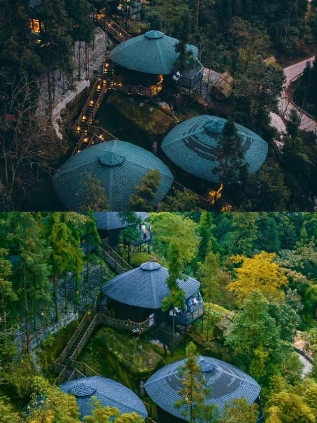 幽靜深山住宿，避世好去處，卡莎莎樹屋民宿～。