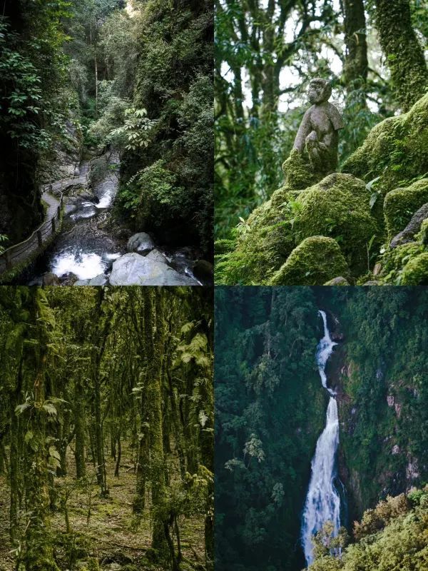 昆明周邊｜戛灑哀牢山兩天一夜吃住行攻略
