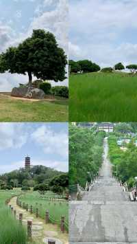 天呀｜深圳已經 next level 宮崎駿夏日來了