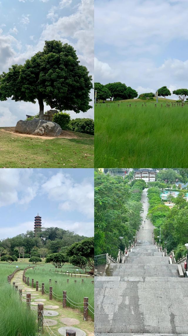 天呀｜深圳已經 next level 宮崎駿夏日來了